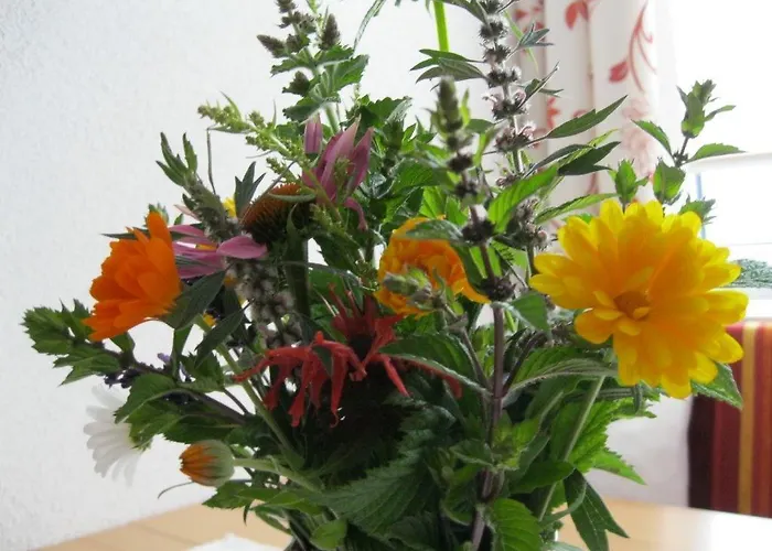 Luis Апартаменты